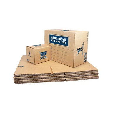 Corrugated Master Carton